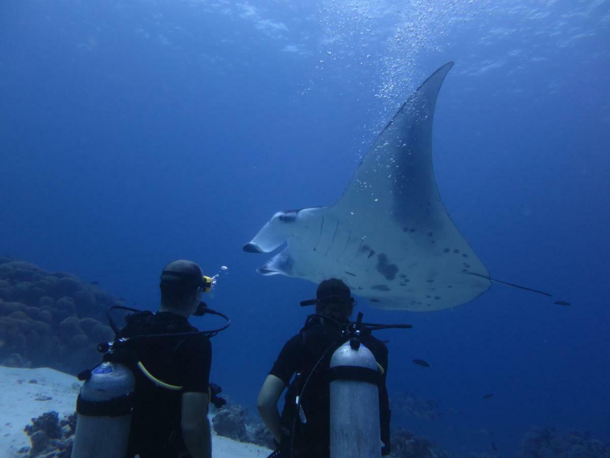 South Ari Dive Center Hotel Dhangethi Exterior photo